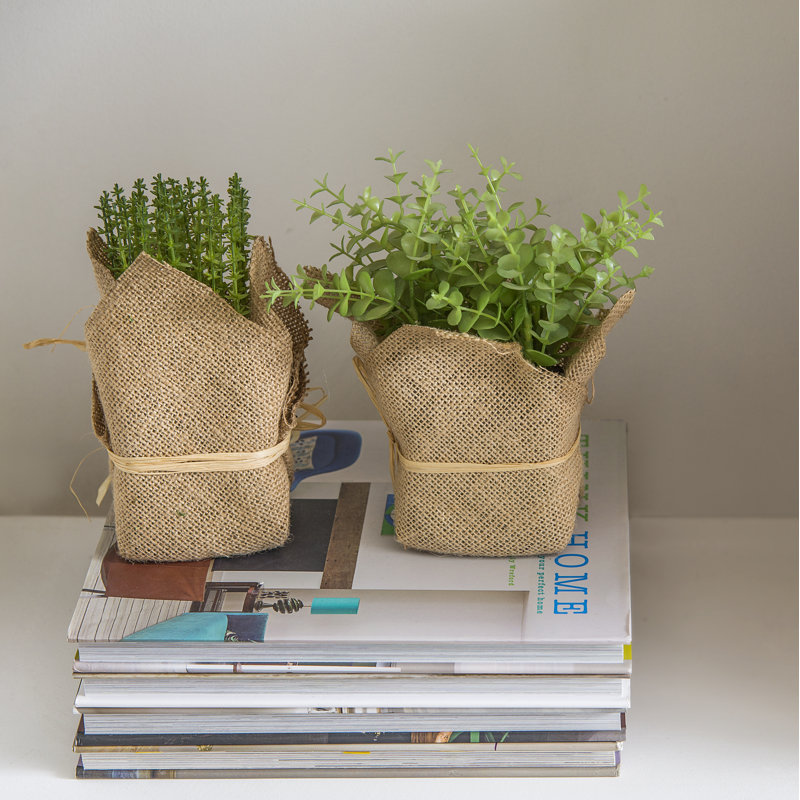 Gracie Oaks 3 Piece Faux Potted Herbs Foliage in Pot Set & Reviews